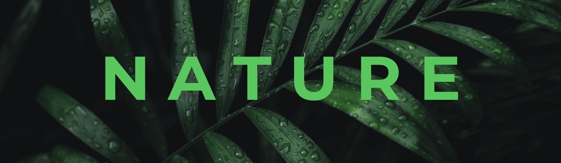 Nature Site slideshow